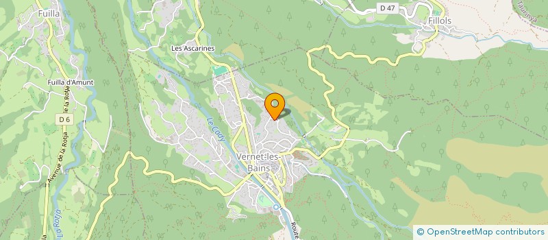 localisation de l'entreprise LA LEZARDIERE à VERNET-LES-BAINS