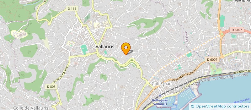 localisation de l'entreprise LA LINTINIERE à VALLAURIS