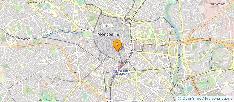 localisation de l'entreprise LA LOUISIANE à MONTPELLIER