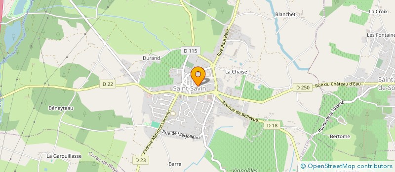 localisation de l'entreprise LA LUCIOLE DANS LE BOCAL  SAINT-SAVIN