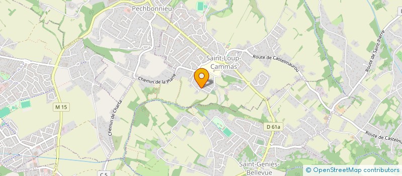 localisation de l'entreprise LA MAISON DE SAINT LOUP  SAINT-LOUP-CAMMAS