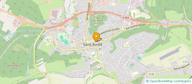 localisation de l'entreprise LA MAISON DES SAVEURS  SAINT-AVOLD