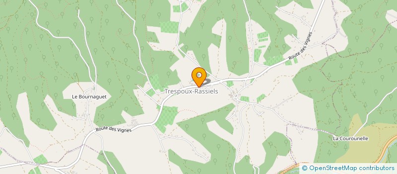 localisation de l'entreprise LA MAISON VI  TRESPOUX-RASSIELS