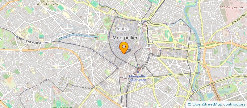 localisation de l'entreprise LA MARCHE INSOLENTE à MONTPELLIER