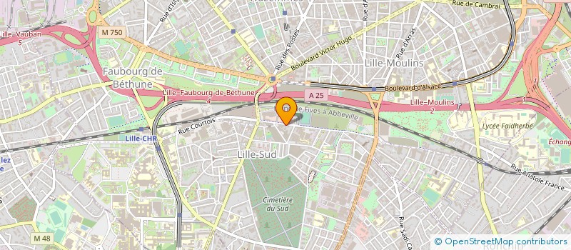 localisation de l'entreprise LA MARELLE DES P'TITS COEURS à LILLE