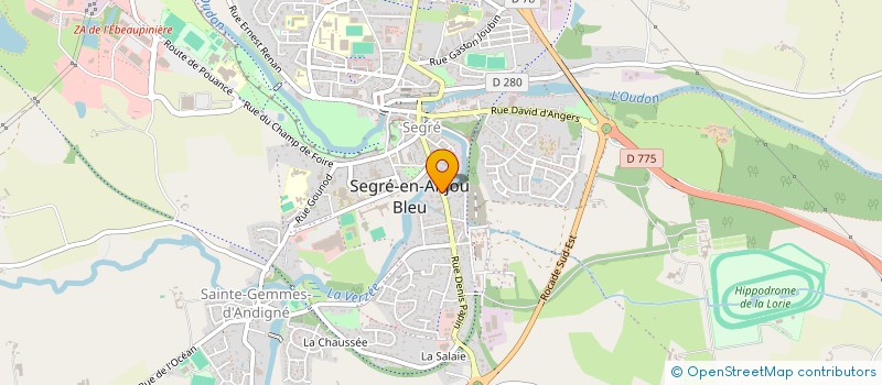 localisation de l'entreprise LA MARTINE DEZINGUEE à SEGRE-EN-ANJOU BLEU