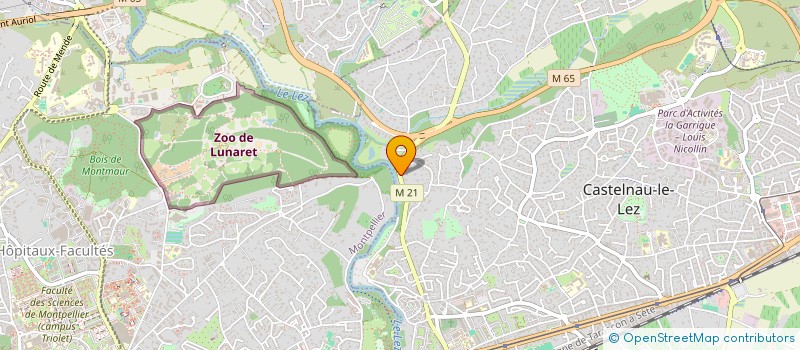 localisation de l'entreprise LA MASSANNE  CASTELNAU-LE-LEZ