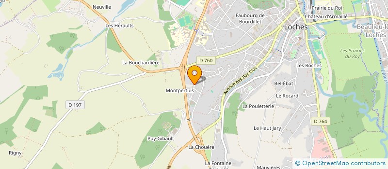 localisation de l'entreprise LA MATHURINIERE  LOCHES