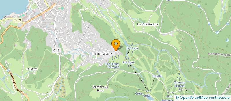 localisation de l'entreprise LA MAUSELAINE à GERARDMER