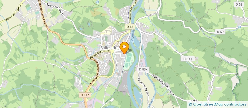 localisation de l'entreprise LA MAZERIENNE SERVICES  MAZERES-SUR-SALAT