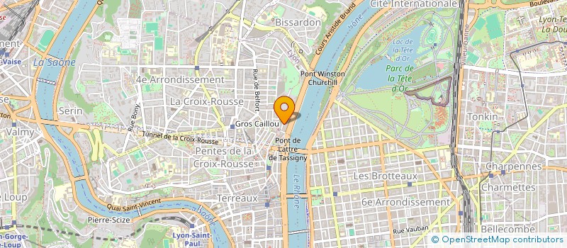 localisation de l'entreprise LA MONTEE BONACHOUX à LYON