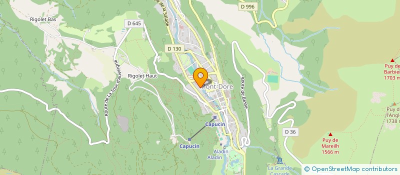 localisation de l'entreprise LA MONTILLE  LA BOURBOULE