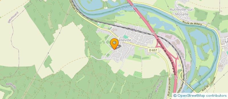 localisation de l'entreprise LA MOSELLE  BELLEVILLE