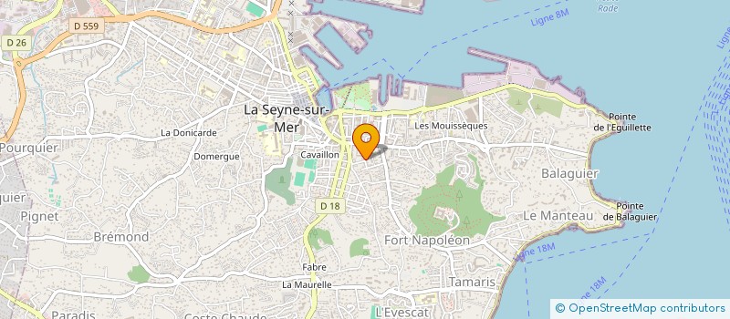 localisation de l'entreprise LA MOUETTE SANS TETE à LA SEYNE-SUR-MER