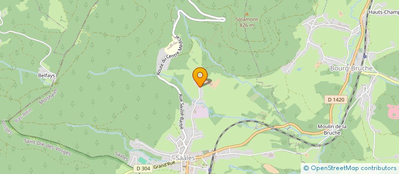 localisation de l'entreprise LA NOTTENIERE  SAALES