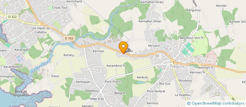 localisation de l'entreprise LA NOUVELLE CAVE DE TREGUNC  TREGUNC