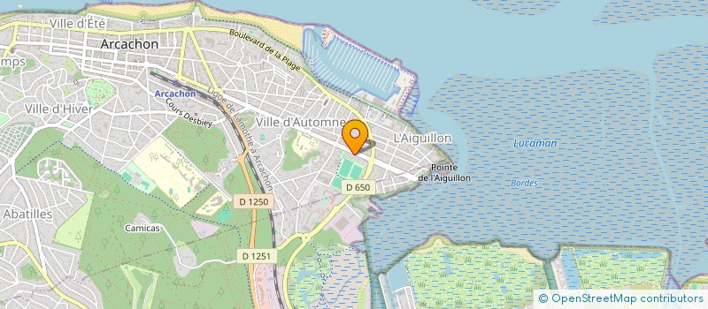 localisation de l'entreprise LA P'TITE SOURIS à LA TESTE-DE-BUCH