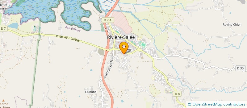 localisation de l'entreprise LA PAGE ECRITE à RIVIERE-SALEE