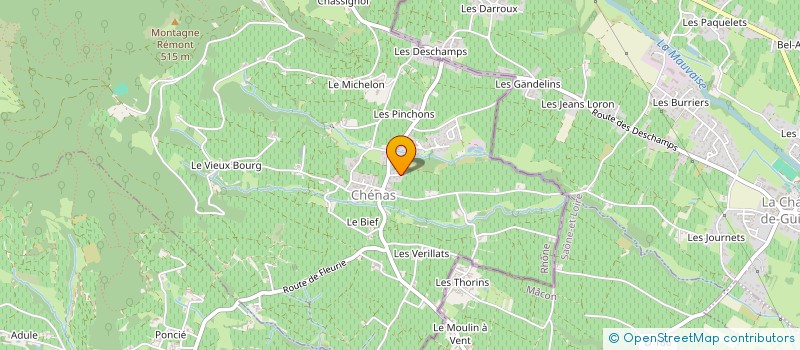 localisation de l'entreprise LA PALETTE DU VIGNERON  CHENAS