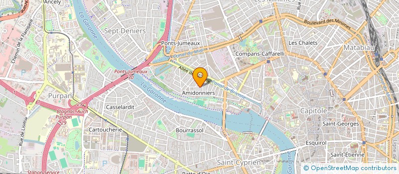 localisation de l'entreprise LA PAPAYE VERTE à TOULOUSE