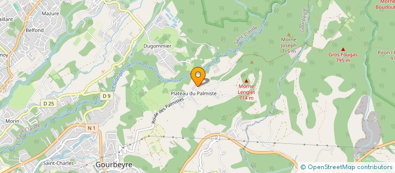 localisation de l'entreprise LA PARABOLE DU PALMISTE à GOURBEYRE