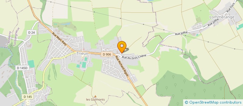 localisation de l'entreprise LA PASSION DE L EBENISTERIE  TRIEUX
