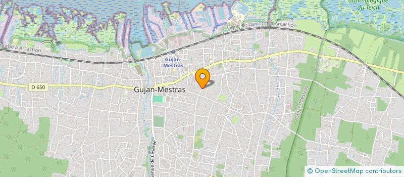 localisation de l'entreprise LA PASTORALE  GUJAN-MESTRAS