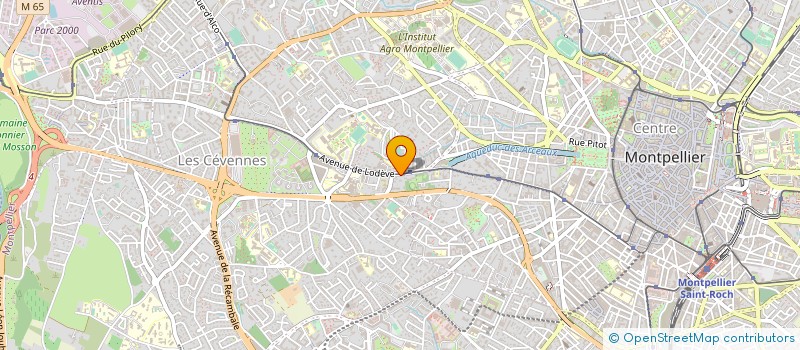 localisation de l'entreprise LA PEPINIERE MONTESSORI DEVELOPPEMENT à MONTPELLIER