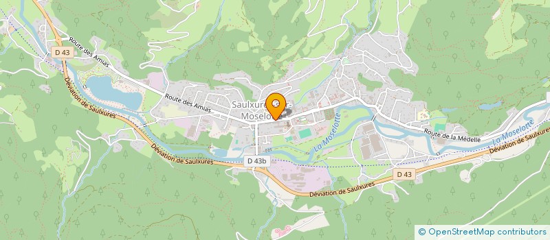 localisation de l'entreprise LA PEPITE DES VOSGES  SAULXURES-SUR-MOSELOTTE