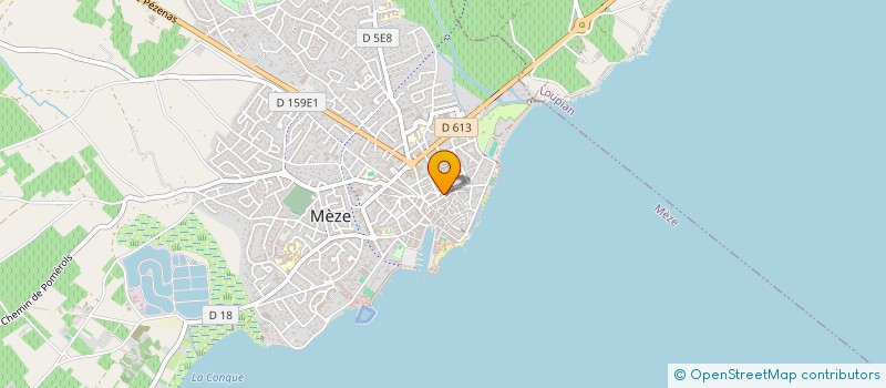 localisation de l'entreprise LA PERLE DE THAU à MEZE