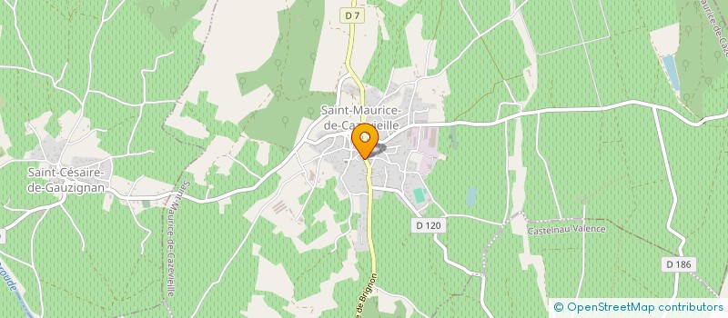 localisation de l'entreprise LA PETITE MAURICE  SAINT-MAURICE-DE-CAZEVIEILLE