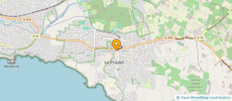 localisation de l'entreprise LA PETRIE DU MARCHE à LE PRADET