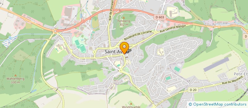 localisation de l'entreprise LA PLACE  SAINT-AVOLD