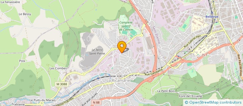 localisation de l'entreprise LA POINTE DE DIAMANT  LA RICAMARIE