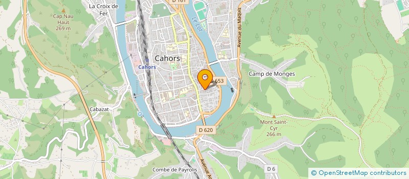 localisation de l'entreprise LA PUCE GOURMANDE  CAHORS