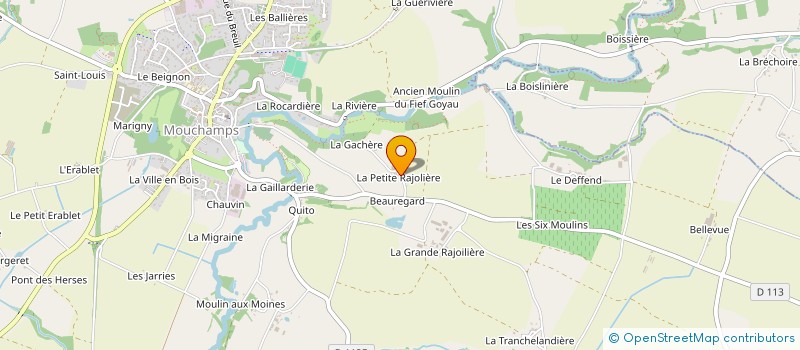 localisation de l'entreprise LA RAJOLIERE à MOUCHAMPS
