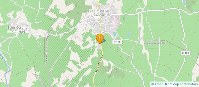 localisation de l'entreprise LA RAQUETTE ST MAURICOISE  SAINT-MAURICE-DE-CAZEVIEILLE