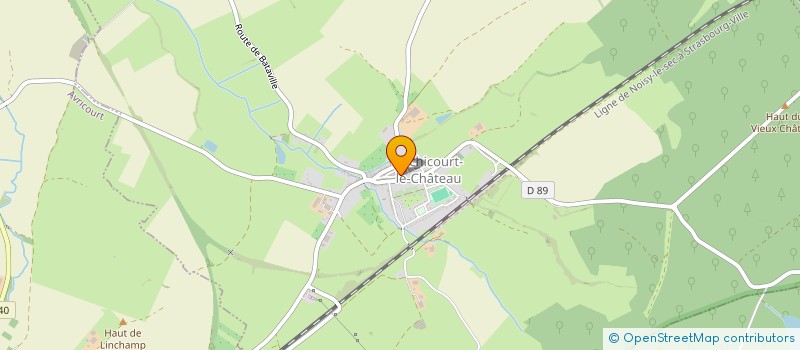 localisation de l'entreprise LA RASCASSE DE SARAH  RECHICOURT-LE-CHATEAU