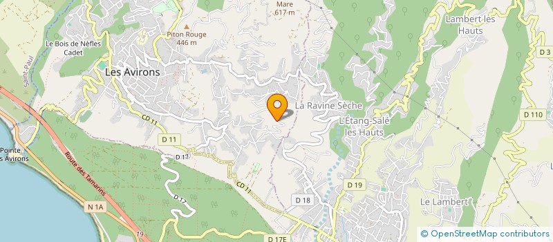 localisation de l'entreprise LA RAVINERIE  LES AVIRONS