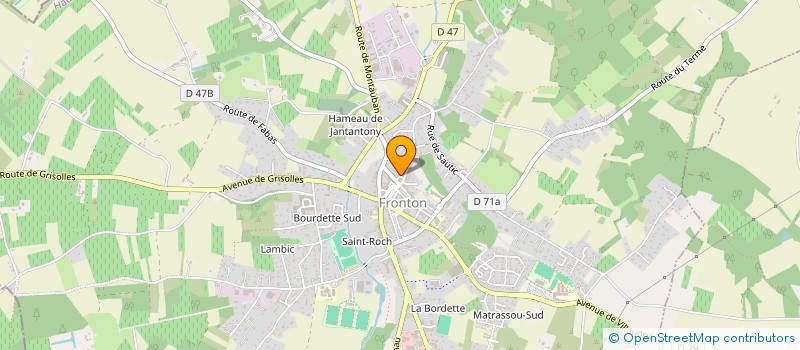 localisation de l'entreprise LA RECOUVRANCE  FRONTON