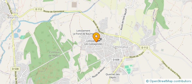 localisation de l'entreprise LA REMISE  GENISSIEUX