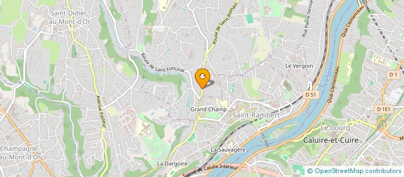 localisation de l'entreprise LA RENOV CUIR  SAINT-CYR-AU-MONT-D'OR