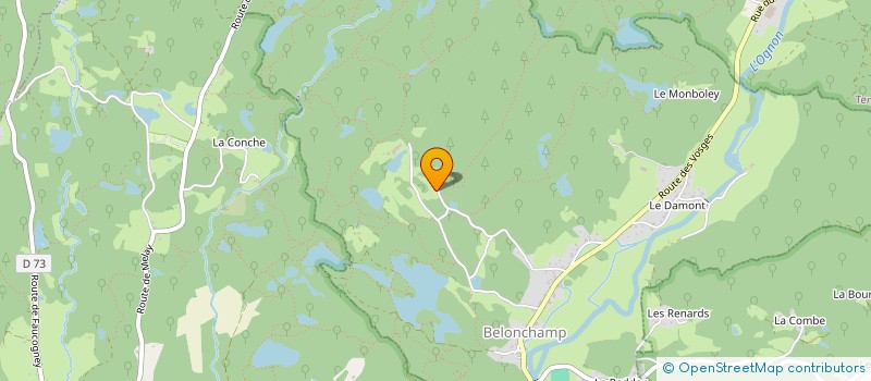 localisation de l'entreprise LA RONCHAMPOISE  BELONCHAMP
