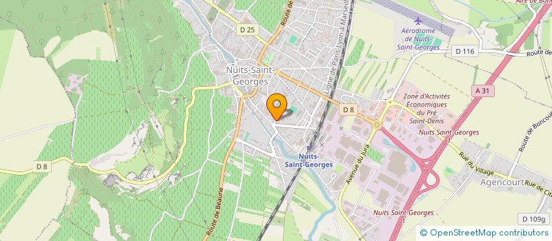 localisation de l'entreprise LA RONDE DES PINOTS à NUITS-SAINT-GEORGES