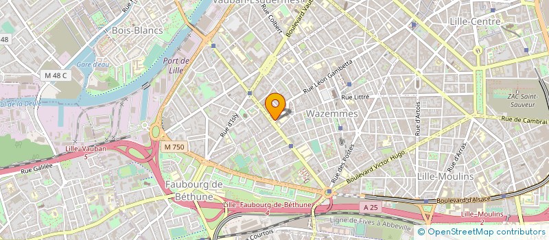 localisation de l'entreprise LA RUCHE, MEDIA JEUNE ET INDEPENDANT à LILLE