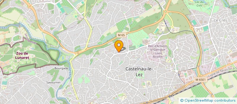 localisation de l'entreprise LA RUEE VERS L'ART à CASTELNAU-LE-LEZ