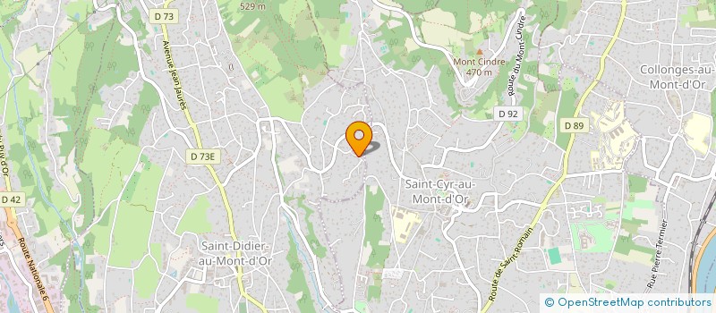 localisation de l'entreprise LA RUELLE  SAINT-DIDIER-AU-MONT-D'OR