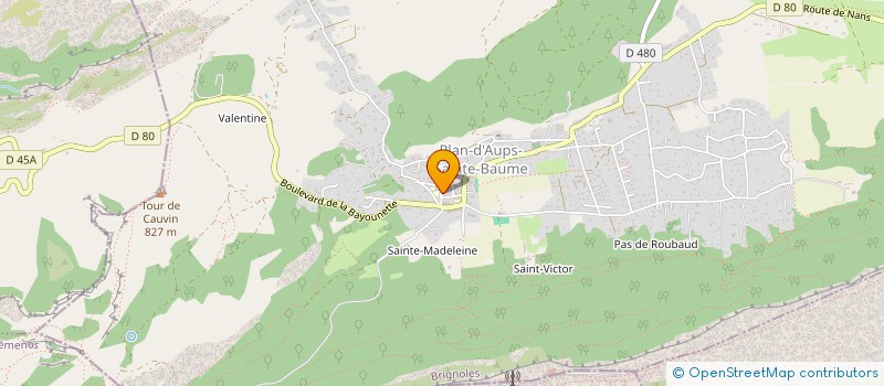 localisation de l'entreprise LA SAINTE BAUME  PLAN-D'AUPS-SAINTE-BAUME