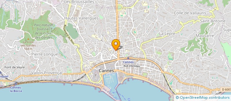 localisation de l'entreprise LA SALAMANDRE  CANNES