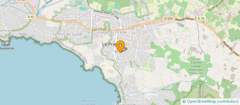 localisation de l'entreprise LA SALAMANDRE  LE PRADET